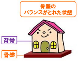 骨盤のバランスがとれた状態 骨盤のバランスがとれた状態