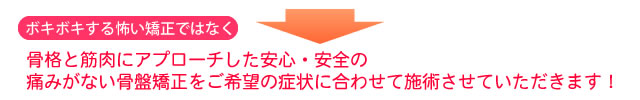 ボキボキする怖い矯正ではなく骨格と筋肉にアプローチした安心・安全の痛みがない骨盤矯正をご希望の症状に合わせて施術させていただきます! ボキボキする怖い矯正ではなく骨格と筋肉にアプローチした安心・安全の痛みがない骨盤矯正をご希望の症状に合わせて施術させていただきます!